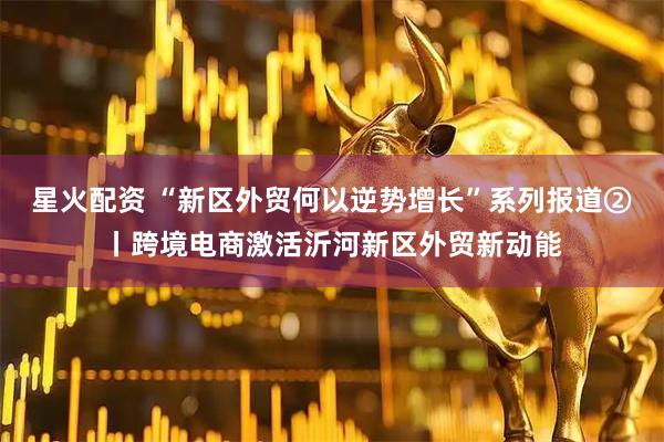 星火配资 “新区外贸何以逆势增长”系列报道②丨跨境电商激活沂河新区外贸新动能