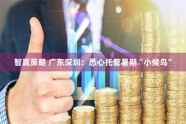 智赢策略 广东深圳：悉心托管暑期“小候鸟”
