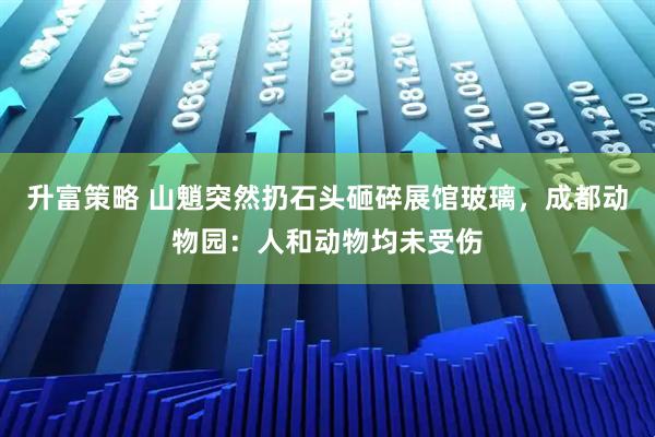 升富策略 山魈突然扔石头砸碎展馆玻璃，成都动物园：人和动物均未受伤