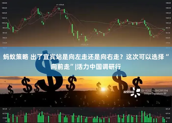 蚂蚁策略 出了宜宾站是向左走还是向右走？这次可以选择“向前走”|活力中国调研行
