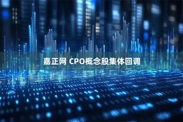 嘉正网 CPO概念股集体回调