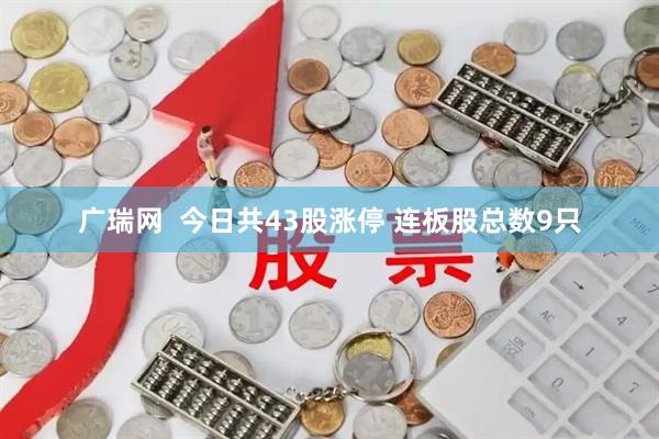 广瑞网  今日共43股涨停 连板股总数9只